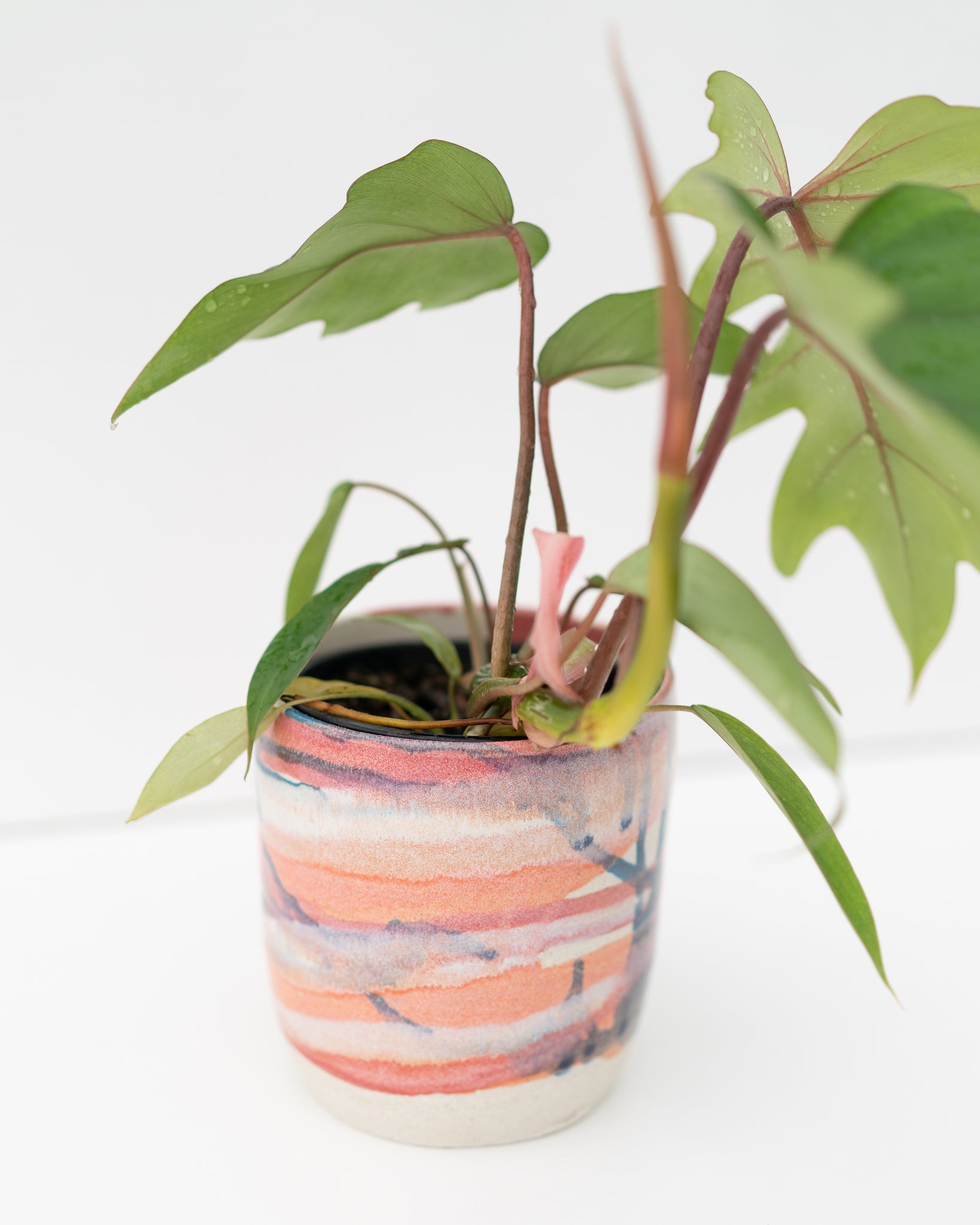 Large planter with drip plate (Clay By Tina).