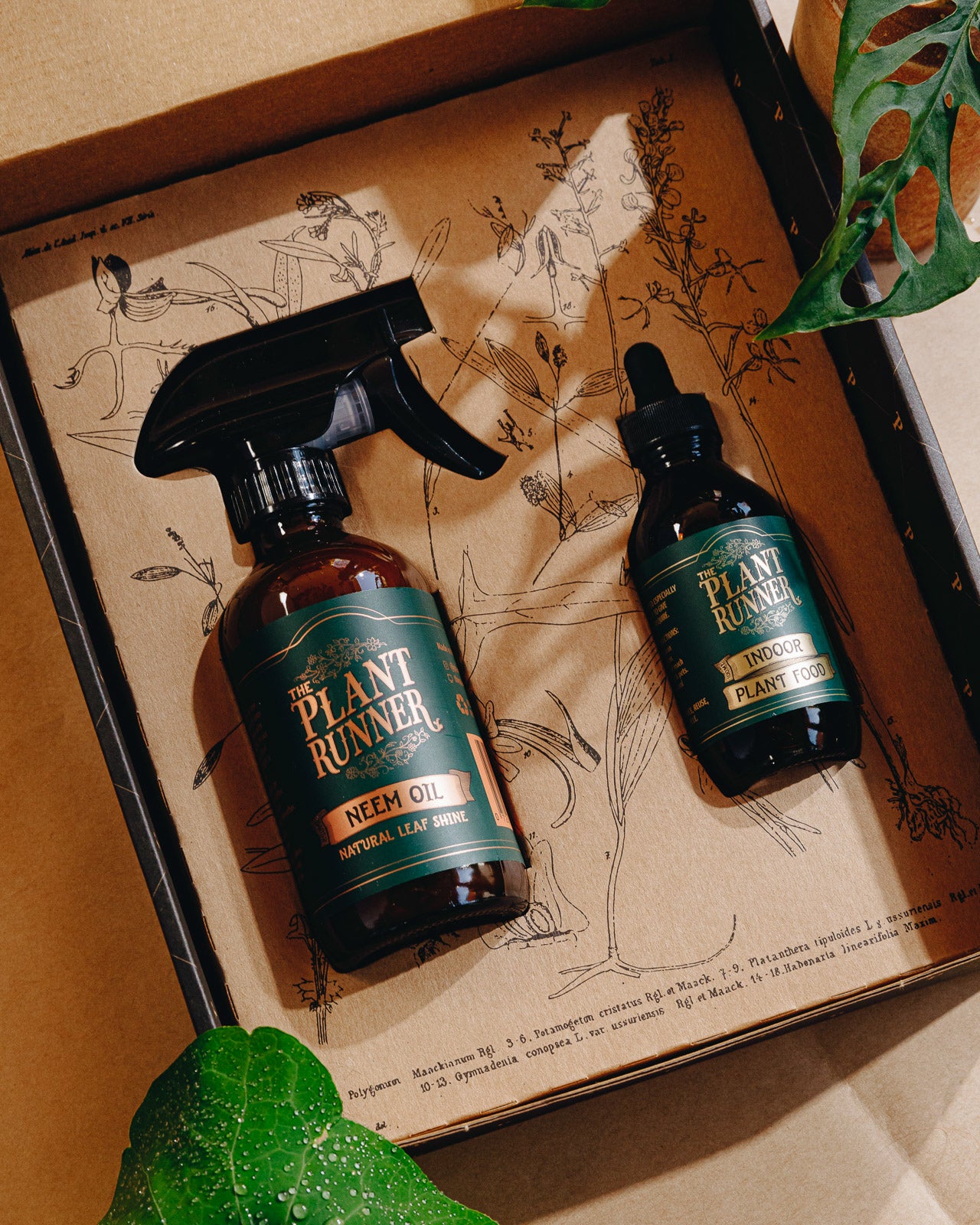 The Plant Runner Plant Care Essentials Kit